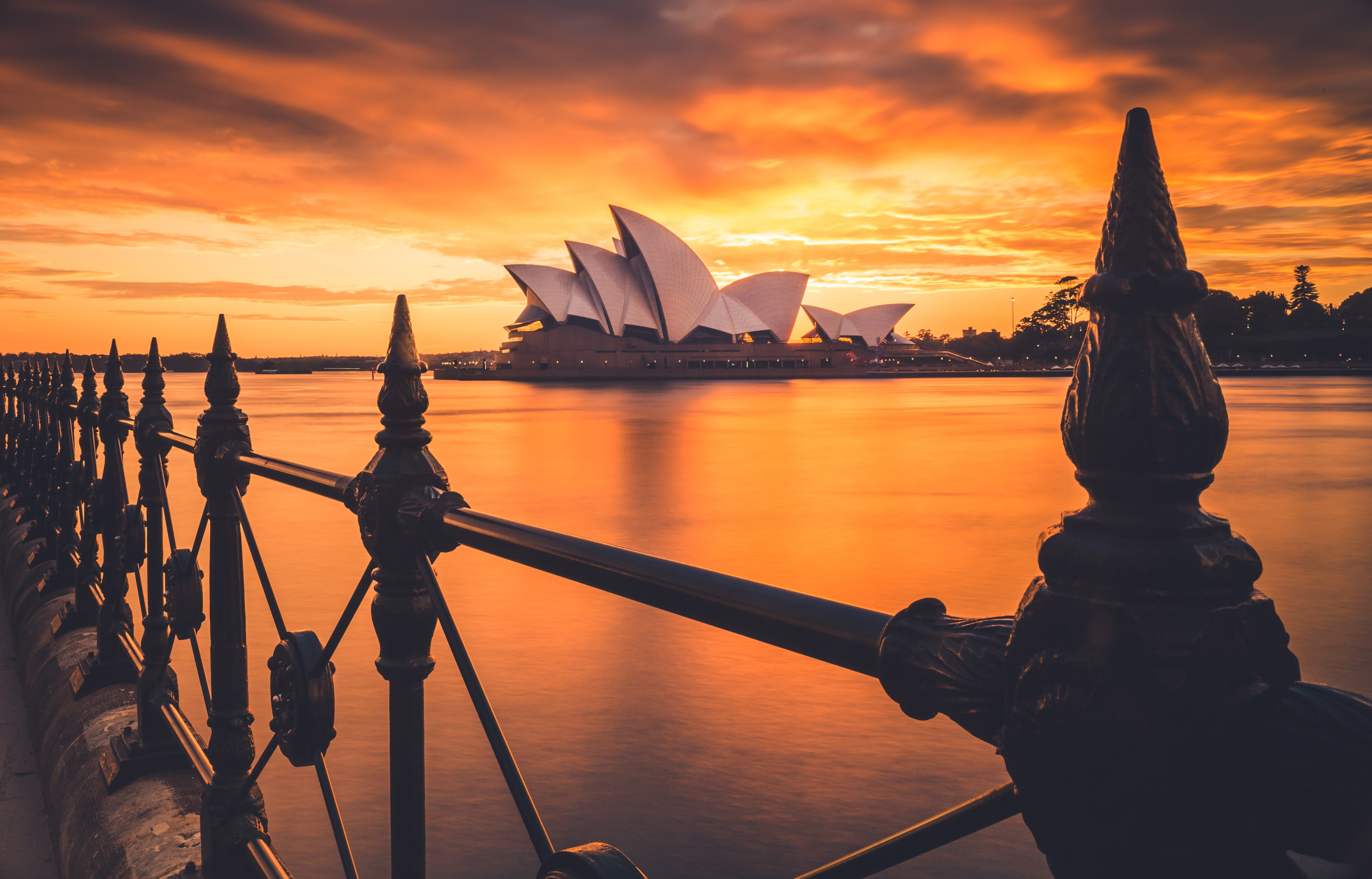 Descubra la fauna de Australia